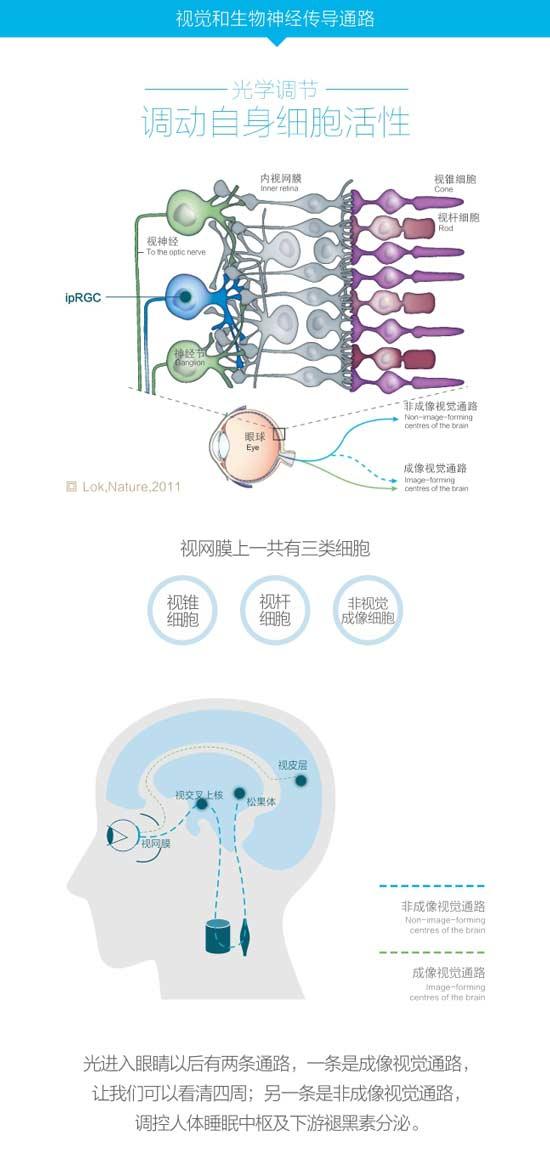 PEGASI智能睡眠眼镜：从此和失眠说bye bye!