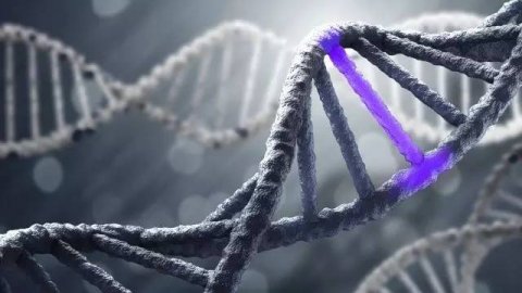 晚上不睡觉将会影响受损的DNA修复！