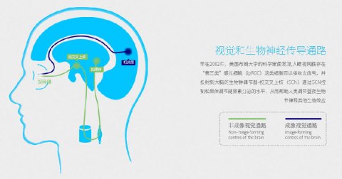 为什么倍佳睡智能睡眠眼镜可以改善睡眠?