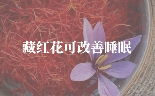 藏红花可改善睡眠