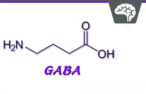 吃糖就可以调节生物钟？|华大基因最新科研成果