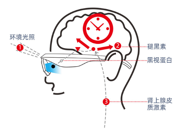 倍佳睡智能睡眠眼镜的功能和原理