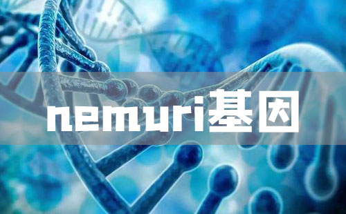 nemuri基因与免疫力的关系