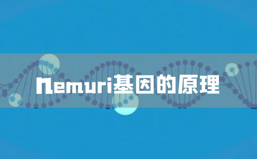 nemuri基因的原理