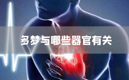 多梦与哪些器官有关