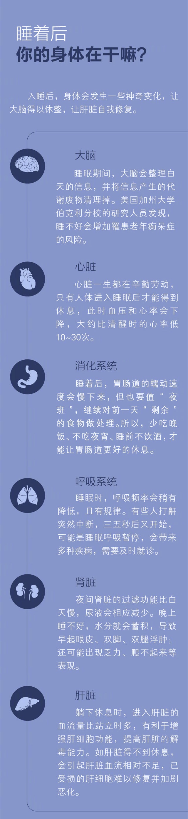 怎样才能获得深度睡眠-睡着后身体在干什么