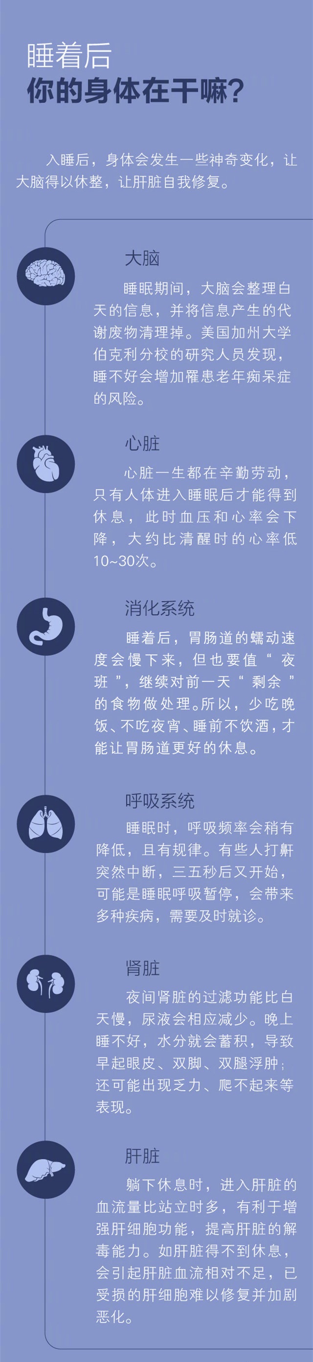 怎样才能获得深度睡眠-睡着后身体在干什么