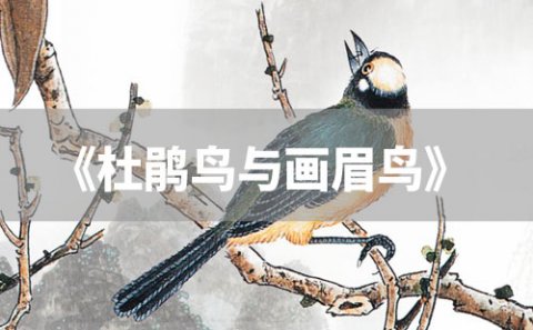 宝宝睡前故事：《杜鹃鸟与画眉鸟》